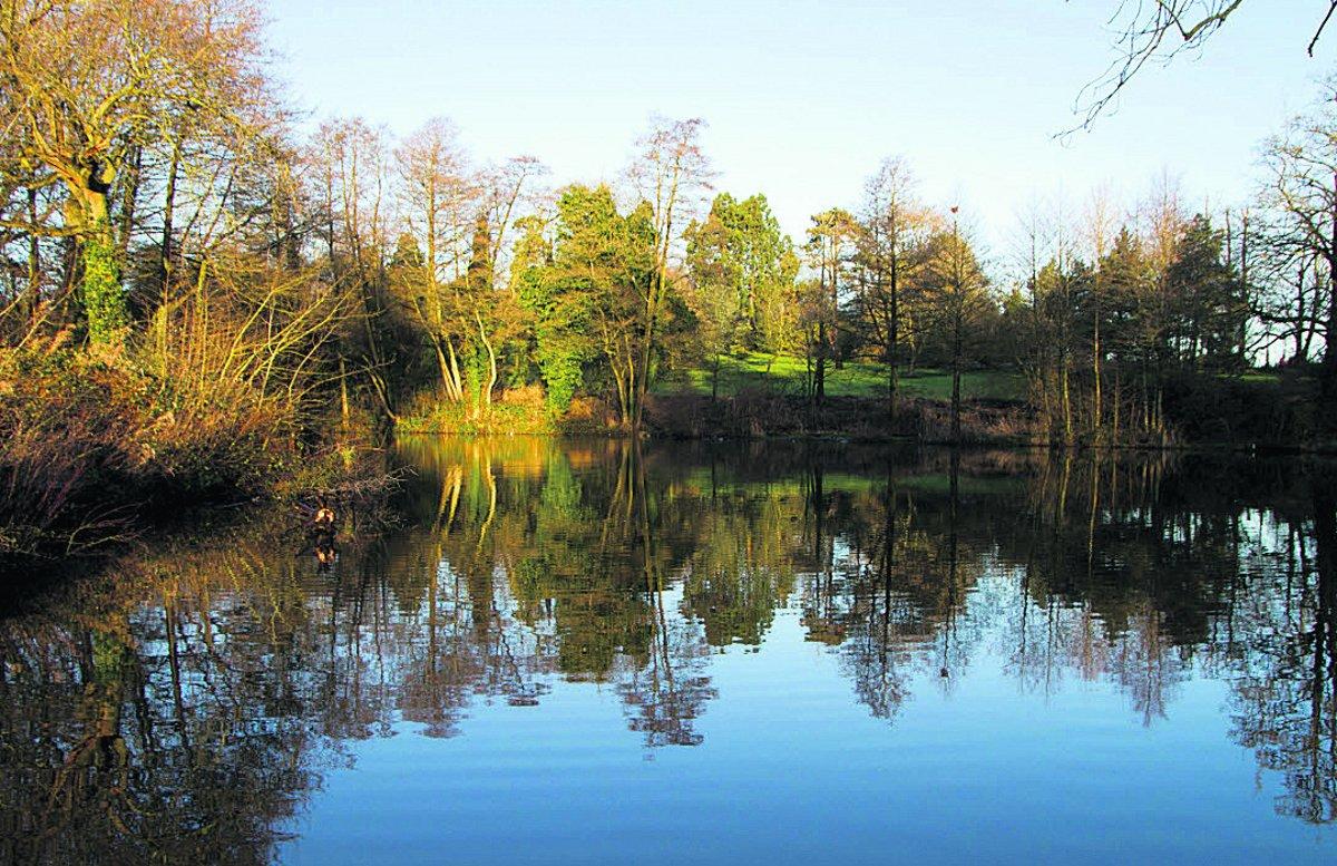 Swiindon Advertiser readers photographs
Lawn Lake reflections
Picture: JOHN HARDING 