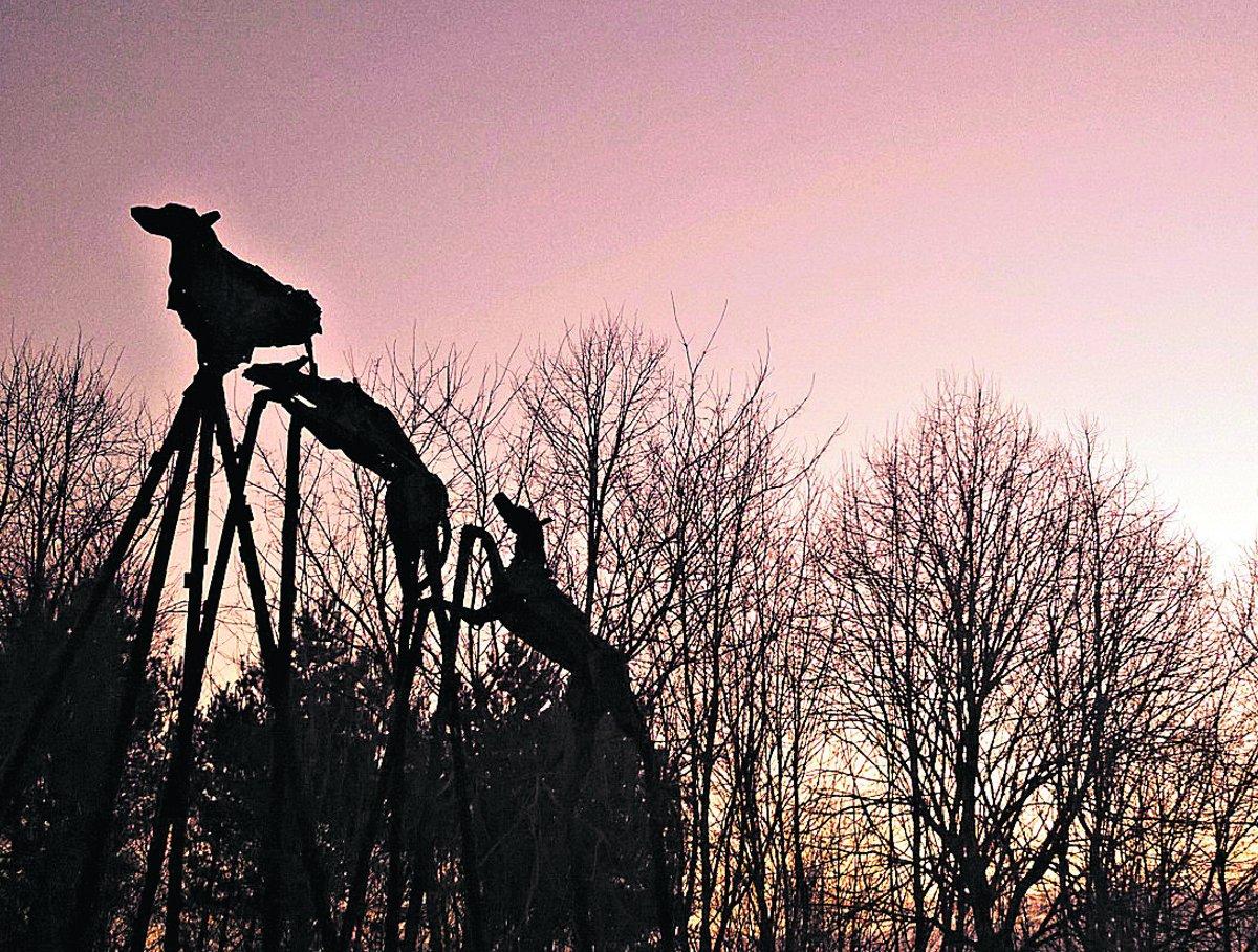 Swiindon Advertiser readers photographs
A sunset photo of the wish-hounds in Croft Wood
Picture: Matt Mahon