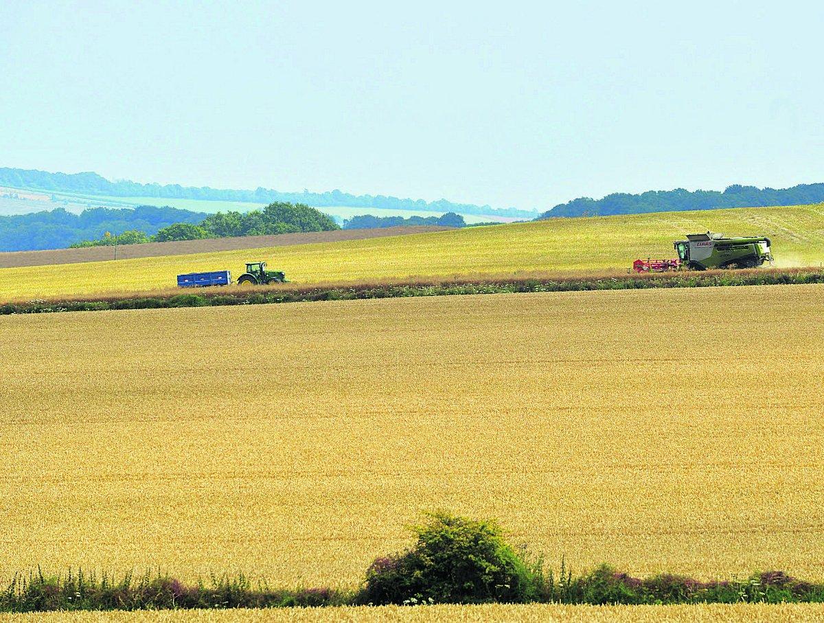 n A farmer harvesting in a field near Swindon                                                                                                                     Picture: THOMAS KELSEY
