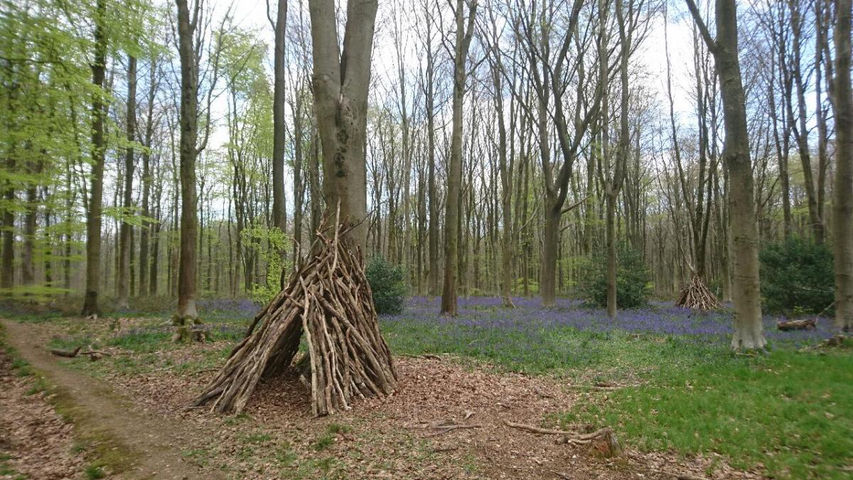 A wigwam in West Woods      Picture: Sue Skillen