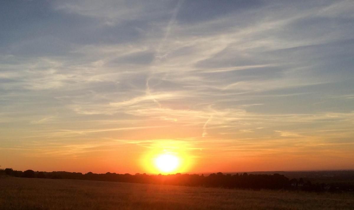 Sunset in field near Thorney Park 						 Picture:  MIKE G VERTANNES