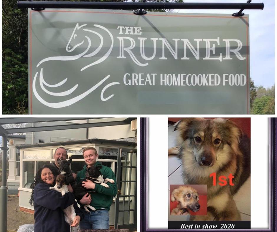 Virtual dog show proves a success for new owners of Swindon pub The Runner  | Swindon Advertiser