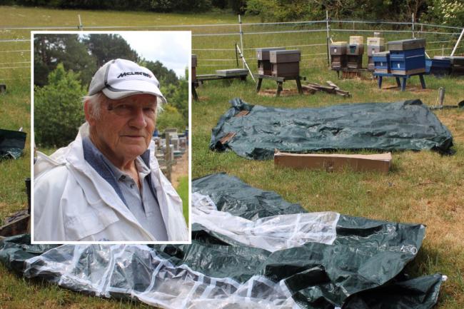 Ron Hoskins (inset) with the remains of the gazebo