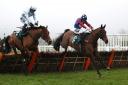 HORSE RACING: Stayers' champ Paisley Park defends Cleeve Hurdle crown
