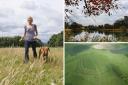 Ten picturesque walks to enjoy Wiltshire