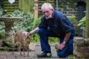 Strawberry the muntjac deer John rescued as a fawn