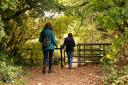 Footpaths are closing in Wiltshire