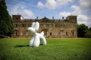 The Pimms in the Park festival coincides with the Big Dog Art Trail supporting Julia's House