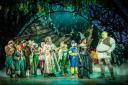 The cast of Shrek the Musical UK and Ireland Tour 2023-24