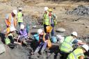 More mammoth fossils have been found in a quarry in Cerney Wick near Swindon