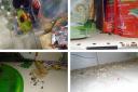 Photos showing evidence of a rat infestation at India Bazzar in Broadgreen