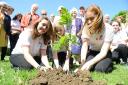 Pupils plant an oak tree to celebrate Kingsdown School's 80th anniversary. Picture by Thomas Kelsey