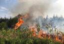 Wiltshire fire chiefs warn of higher risk of wildfires at Easter.