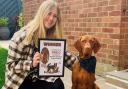 Swindon Advertiser Perfect Pet 2022 winner crowned after 300 entrants whittled down to one