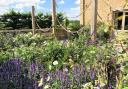 Cherry Orchard Barn at Luckington is opening under the National Garden Scheme 									          Pictures: NGS