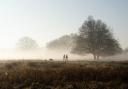 Why is Wiltshire so foggy today? Met Office explains misty weather