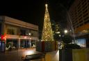O Christmas tree: Swindon town centre has been lit up by the new giant tree this week.