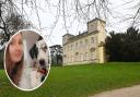 Megan Ody was planning to host a charity dog walk in Swindon's Lydiard Park.