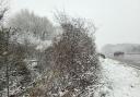 The driver and their car ended up in this snowy bush next to the M4 this morning.