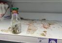 The woman was sickened to see the state of the Sainsbury's shelf and empty bottle.