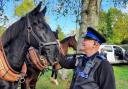 PCSO John Bordiss will stand down from his post to retire this week