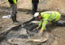 DigVentures excavating at the Cerney Wick mammoth site