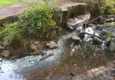 Sewage pours into a stream at Stanton Country Park