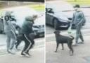 CCTV images relating to an alleged dog attack in Swindon