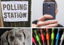 Polling station rules -  selfies, dogs and filling out your vote