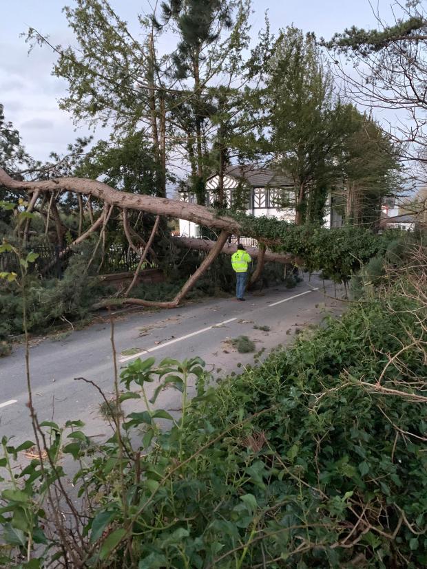 Swindon Advertiser: Aftermath of Storm Arwen in Cheshire (PA)