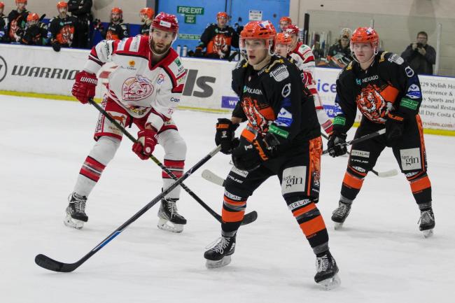 Action from last Saturday's 3-2 OT loss for the Swindon Wildcats against Telford Tigers Photo: Kat Medcroft