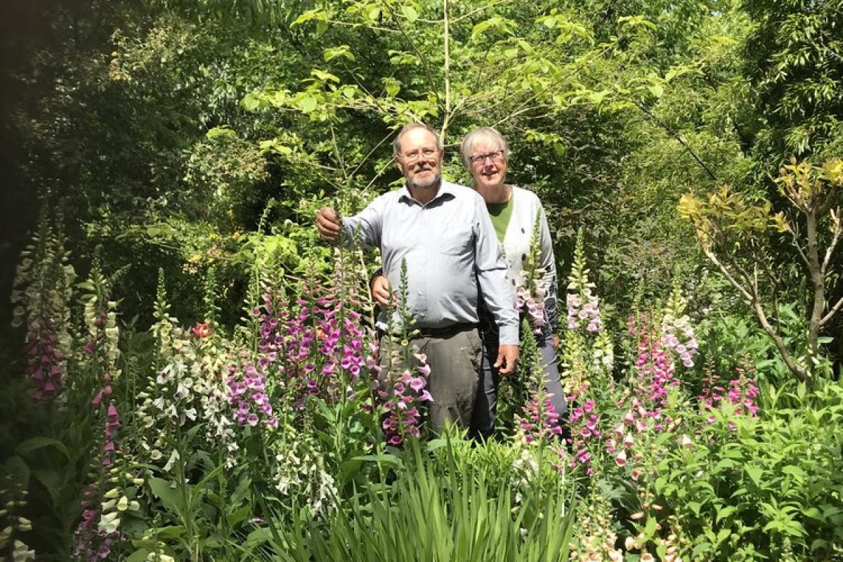 Terry and Mary Baker, of The Botannic Nursery in Atworth, have won a gold medal at this year's RHS Chelsea Flower Show