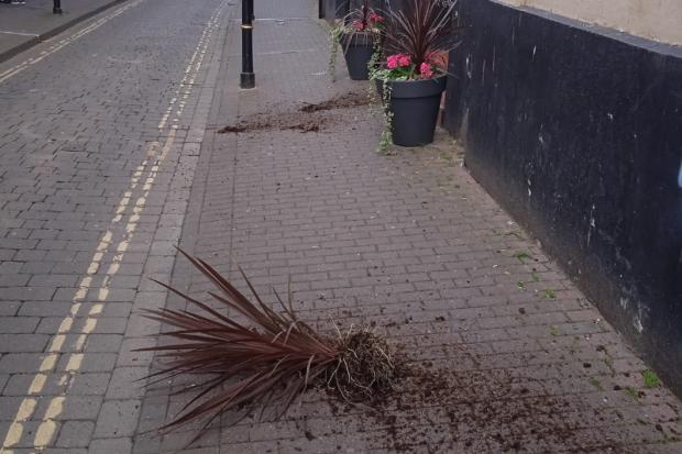 VANDALISM: Potted plants targeted by vandals in Worcester city centre.