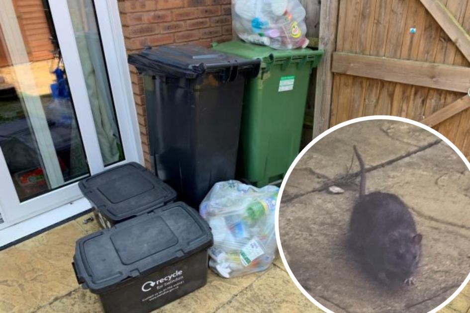 Swindon mum spots rat scurrying across garden after bins not collected