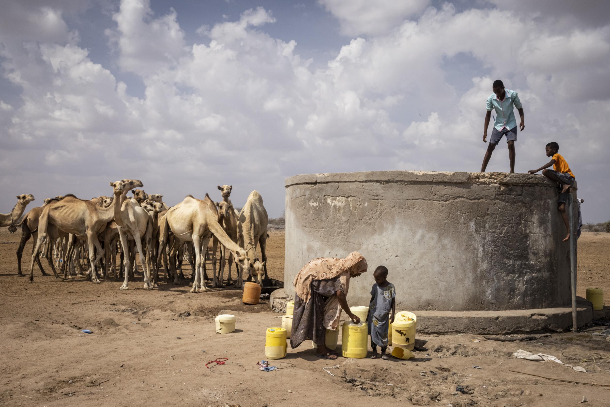 WAJIR COUNTY, KENYA - DECEMBER 09: Camels weak from lack sustenance stand behind a salt water well as they migrate to find food near Mochesa in Wajir county on December 9, 2021 in Nairobi, Kenya. A prolonged drought in the countrys north east has
