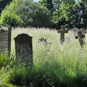 Sue Williams is frustrated that the Radnor Street Cemetery has been neglected and now has overgrown grass Photo: Dave Cox