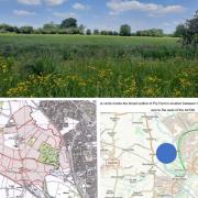 The land near Moldon Country park which land promoter says should be used for thousands of houses
