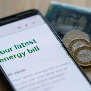 British Gas have become the latest company to agree to the scheme in an attempt to take pressure off the National Grid