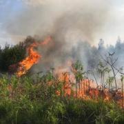 Wiltshire fire chiefs warn of higher risk of wildfires at Easter.