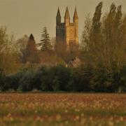 St Sampson’s appears in the distance behind the meadow filled with snakeshead fritillaries, by Geoff Whysall