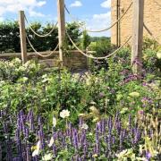 Cherry Orchard Barn at Luckington is opening under the National Garden Scheme 									          Pictures: NGS