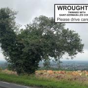 The chicken tree in Wroughton (Photo: Wroughton Parish Council)