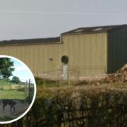 A photo of the Grain Barn which is home to 50 dogs from the Noise Assessment, and a picture of two dogs in their outdoor run from the Appellant's appeal