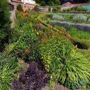 The striking layout of the garden at Woolton House, Newbury 									             Pictures: NGS
