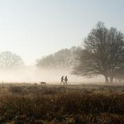 Why is Wiltshire so foggy today? Met Office explains misty weather