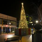 O Christmas tree: Swindon town centre has been lit up by the new giant tree this week.