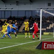 Bluebirds' memorable FA-Cup run ends with emphatic defeat at Brewers