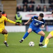 Swindon Town striker Harry Parsons in action for Chippenham Town during the Bluebirds’ FA Cup defeat to Burton Albion on Sunday             Photo: Nigel French