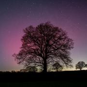 The Northern Lights could be visible across Wiltshire tonight.