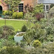 Brow Cottage is opening under the National Garden Scheme 	           Pictures:NGS